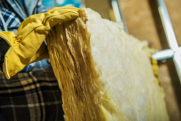 Best Spray Foam Insulation  in Macom, IL