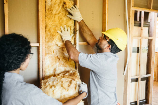 Best Soundproof Insulation Installation  in Macom, IL