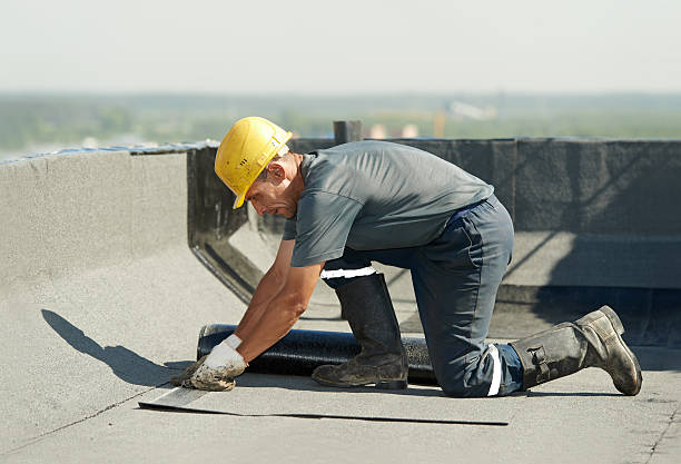 Best Professional Insulation Contractor  in Macom, IL